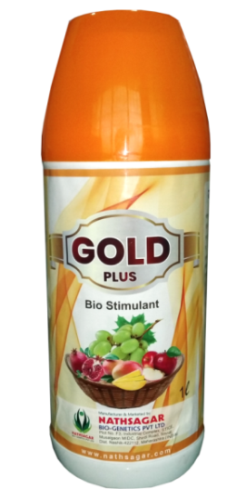 GOLD PLUS